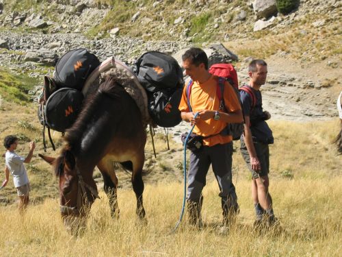trekking con i muli-17.JPG